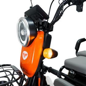 Triciclu electric Cargo RURIS PILOT 3010 A 1600 W