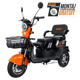 Triciclu electric Cargo RURIS PILOT 3010 G 1600 W
