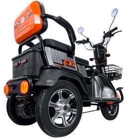 Triciclu electric Cargo RURIS PILOT 3010 G 1600 W