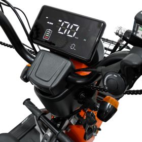 Triciclu electric Cargo RURIS PILOT 3010 G 1600 W