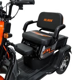 Triciclu electric Cargo RURIS PILOT 3010 G 1600 W