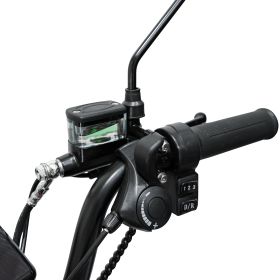 Triciclu electric Cargo RURIS PILOT 3010 G 1600 W