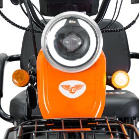 Triciclu electric Cargo RURIS PILOT 3010 G 1600 W