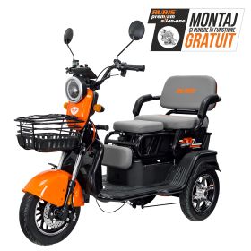 Triciclu electric Cargo RURIS PILOT 3010 N 1600 W