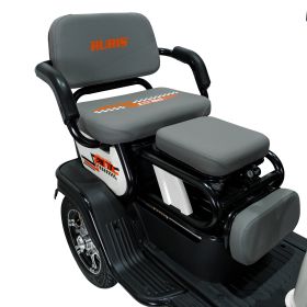 Triciclu electric Cargo RURIS PILOT 3010 N 1600 W