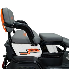 Triciclu electric Cargo RURIS PILOT 3010 N 1600 W