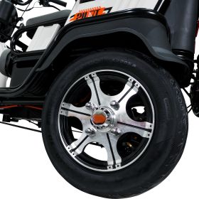 Triciclu electric Cargo RURIS PILOT 3010 N 1600 W
