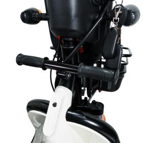 Triciclu electric Cargo RURIS PILOT 3010 N 1600 W