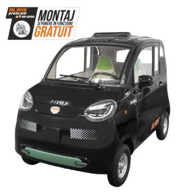 Masina Electrica RURIS Pilot GT500 Negru 2000 W