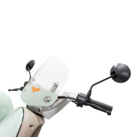 Scuter Electric RURIS Pilot SX790 Verde Retro