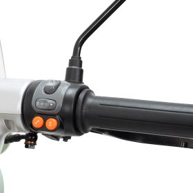 Scuter Electric RURIS Pilot SX790 Verde Retro